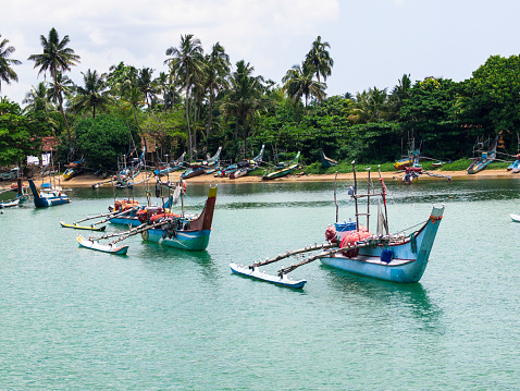 Morning view of Traditional Fishing boats at Mirissa harbor in Sri Lanka. Some of them are anchored in bay and others are tied to the pier. They have one side sky for balance while in background are shore palms and blue, cloudy sky.