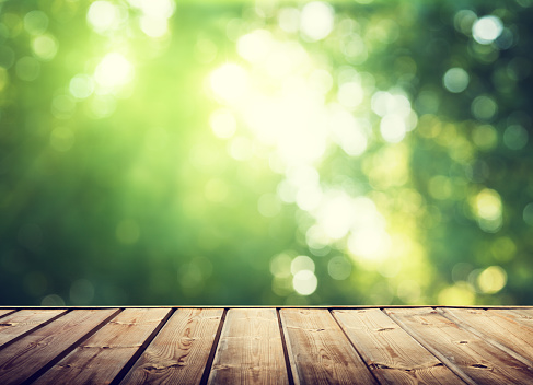 wooden surface and sunny forest