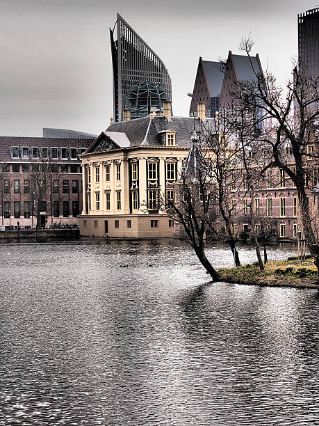 Hofvijver lake Maurtitshuis museum and the The Hague skyline The Hague, Netherlands - March 26, 2015: Hofvijver lake and art gallery Maurtitshuis in front of the skyline. vincent van gogh painter stock pictures, royalty-free photos & images
