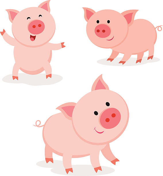 illustrations, cliparts, dessins animés et icônes de mignon porcs. cochon joyeux. - pig