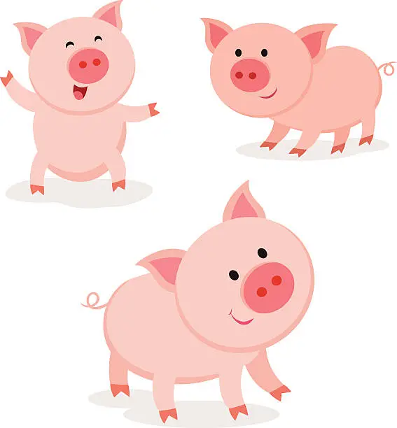 Vector illustration of Cute pigs. Cheerful pig.