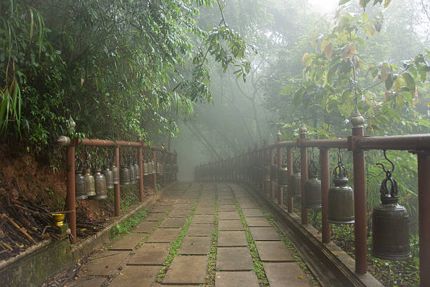 ponte caminho com sinos de buda em uma floresta enevoada - fog old stone bridge - fotografias e filmes do acervo