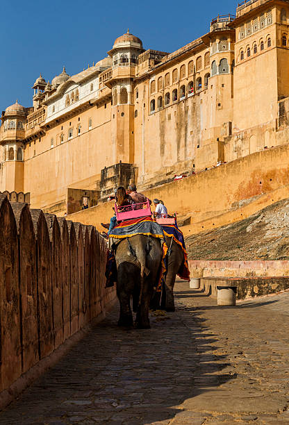 istock Amer fort, Jaipur, India 469251390