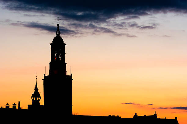 A silhouetted dome on the building with a sunset backdrop framed by trees.