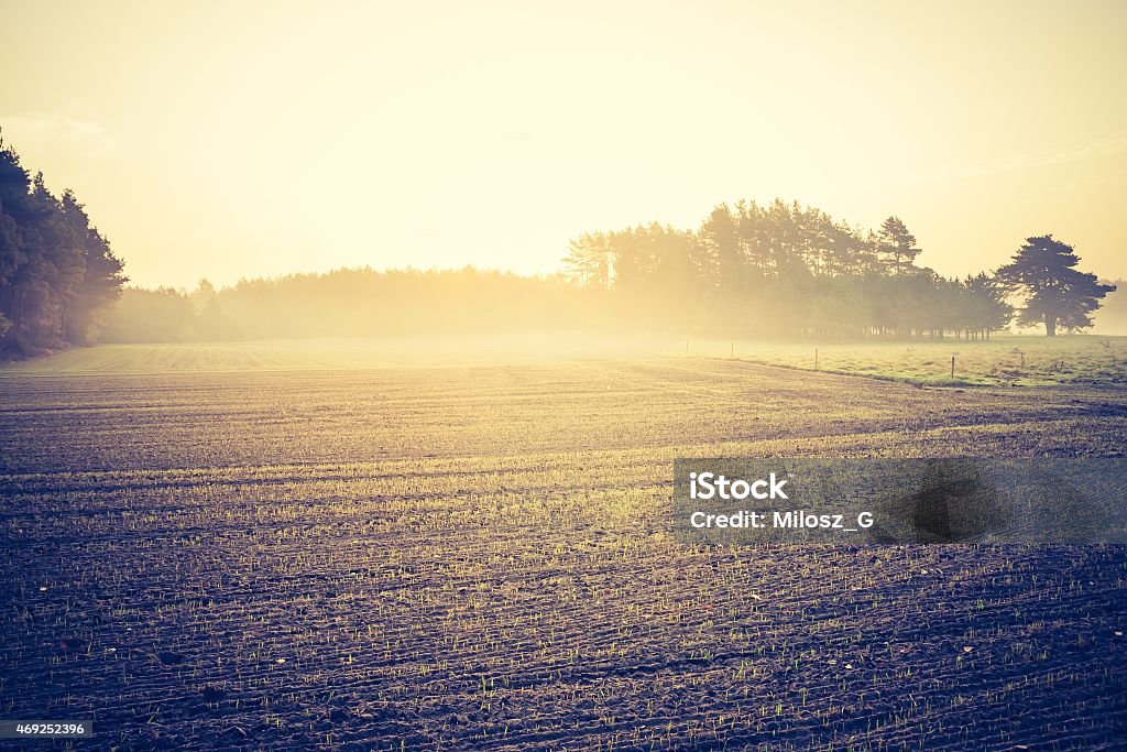 Vintage photo of plowed field Sad autumnal landscape with plowed fields. Photo with vintage mood effect 2015 Stock Photo