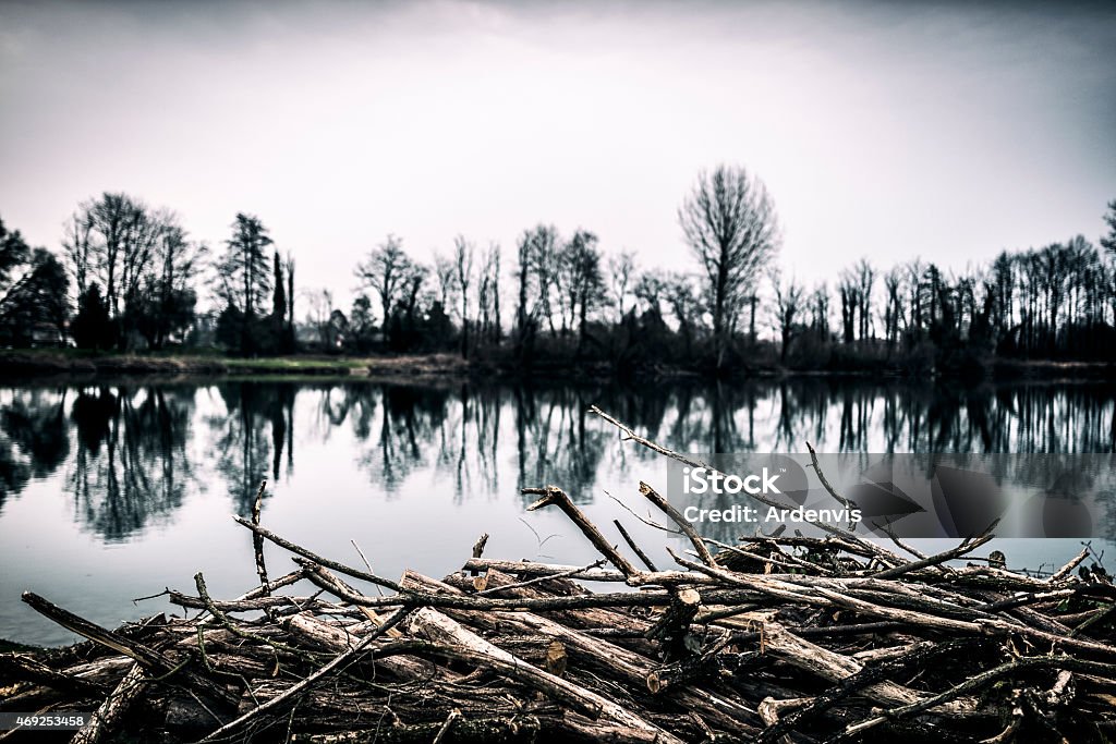 Pila di legno sulla riva del fiume - Foto stock royalty-free di 2015