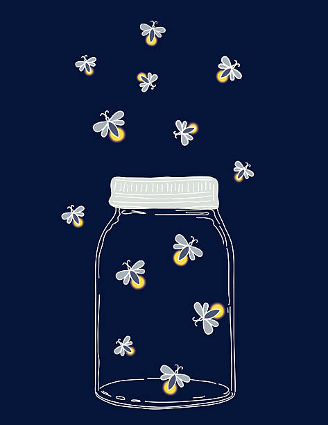 lato ręcznie rysowane mason słoików z fireflies w nocy - świetlik chrząszcz stock illustrations