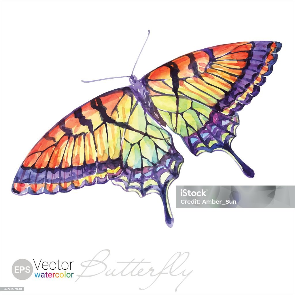 Vector Watercolor Swallowtail Butterfly Watercolor illustration of the butterflies flying and sitting on the branches of the red Physalis flowers.  2015 stock vector