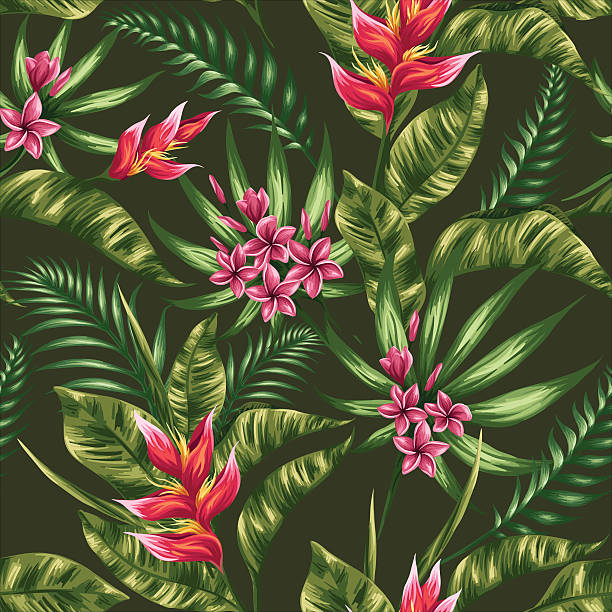 ilustraciones, imágenes clip art, dibujos animados e iconos de stock de floral seamless pattern - tropical flower heliconia tropical climate flower