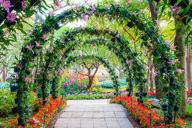 hermosa flor arcos con un pasaje peatonal. - single lane road footpath flower formal garden fotografías e imágenes de stock