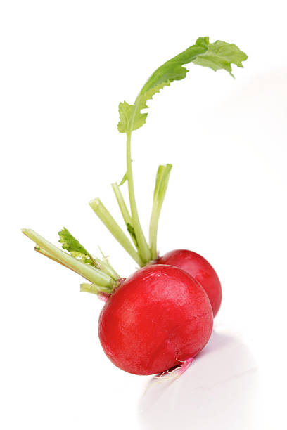 istock Studio shot of radish on white background 469259640