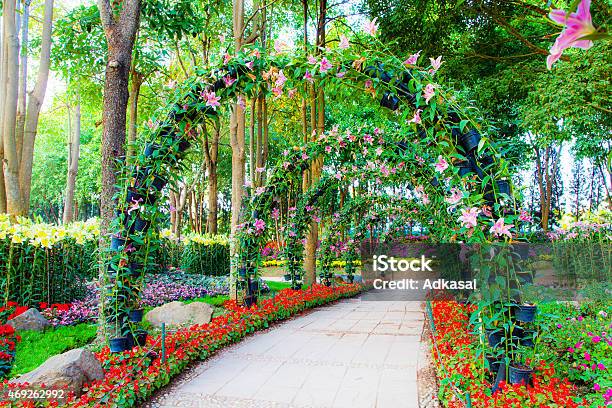 Beautiful Flower Arches With Walkway Stock Photo - Download Image Now - 2015, Arch - Architectural Feature, Beautiful People