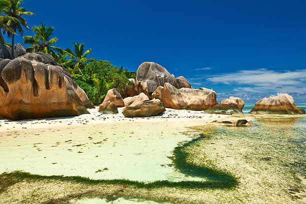 istock Beautiful beach at Seychelles 469265094