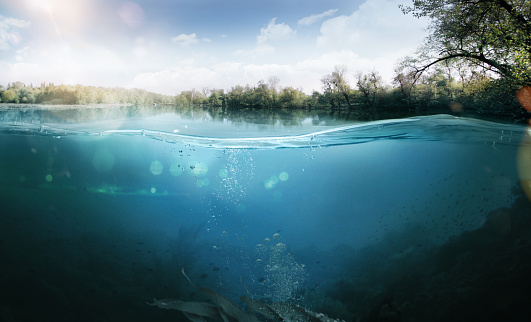 El mundo submarino. Hermoso lago entre los bancos verde photo