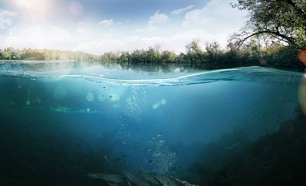 Underwater. Beautiful lake between the green banks Half underwater half over, over-under split shot of huge Lake Laber freshwater lake landscape stock pictures, royalty-free photos & images