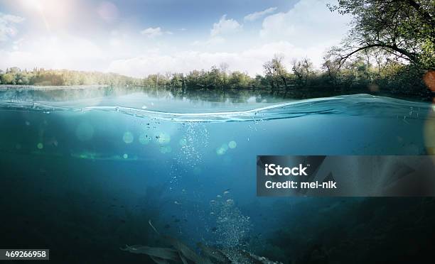 Underwater Beautiful Lake Between The Green Banks Stock Photo - Download Image Now - Underwater, Lake, Water