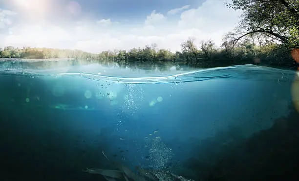 Photo of Underwater. Beautiful lake between the green banks