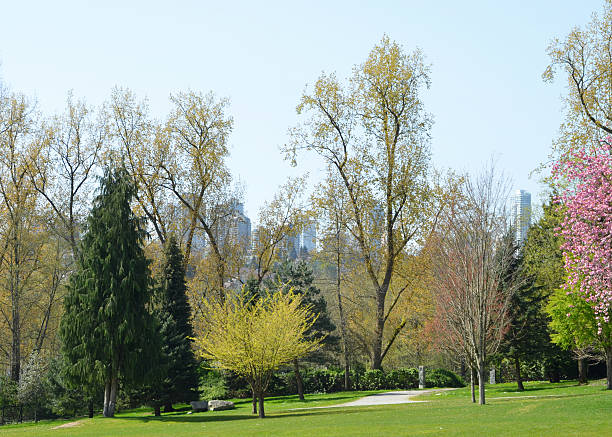 Closeup of parkland and trees in front of the Metrotown Skyline of Burnaby in urban Vancouver, B.C.