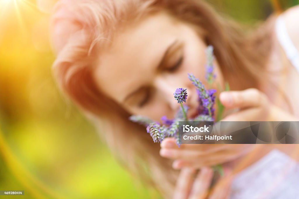 Woman holding flowers Beautiful woman on meadow holding lavender in her hands. Lavender - Plant Stock Photo