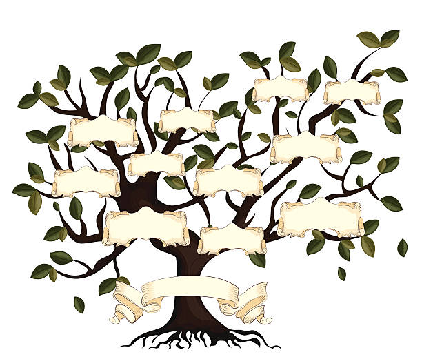 istock Illustration of family tree with vintage ribbons. 469286444