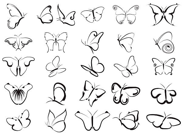 Collection of drawing butterflies. Collection of drawing butterflies. Vector eps10. simple butterfly outline pictures stock illustrations