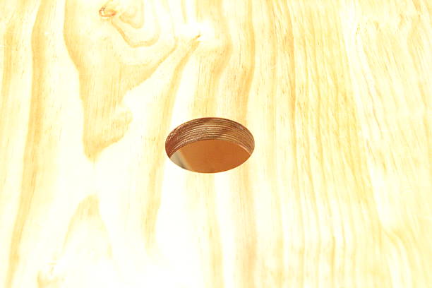 hole in a wood