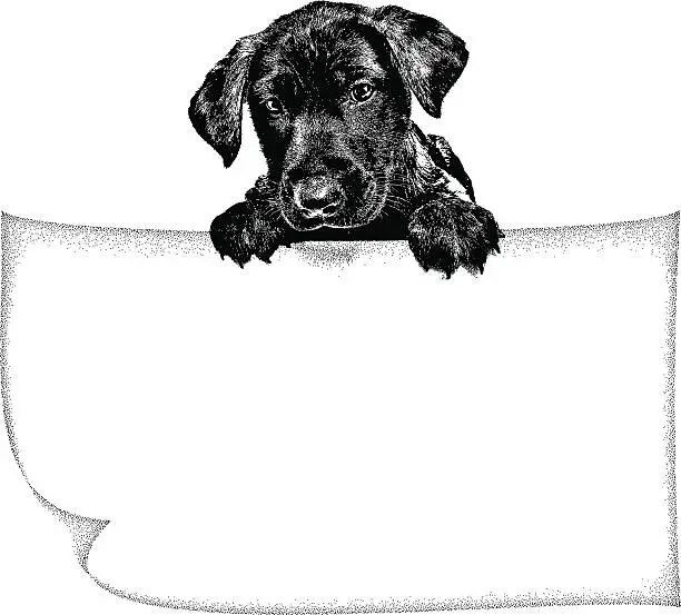 Vector illustration of Puppy Holding Blank Sign