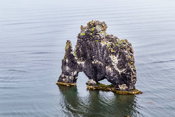 istock Hvitserkur, the troll rock 469295360