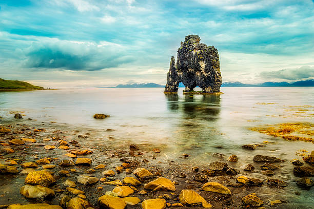 istock Hvitserkur, the troll rock 469306344