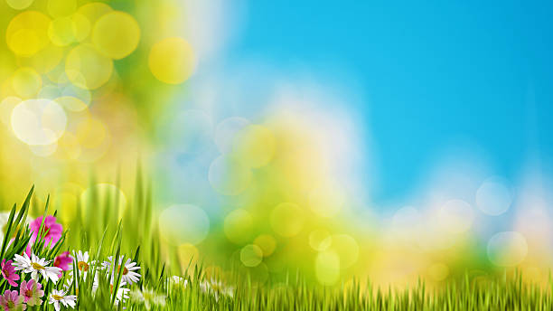 istock Natural backgrounds with green foliage under bright summer sun 469314252