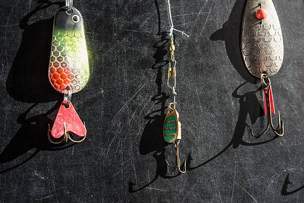 istock spoon lures in the sun 469315100