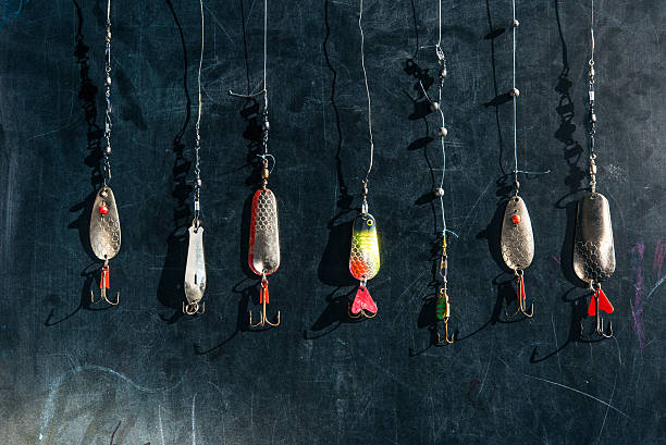 istock spoon lures in a row on chalk board 469316126