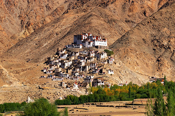 Chimray monastery with view of Himalayan mountians in background,Ladakh,Jammu and Kashmir, Northern India
