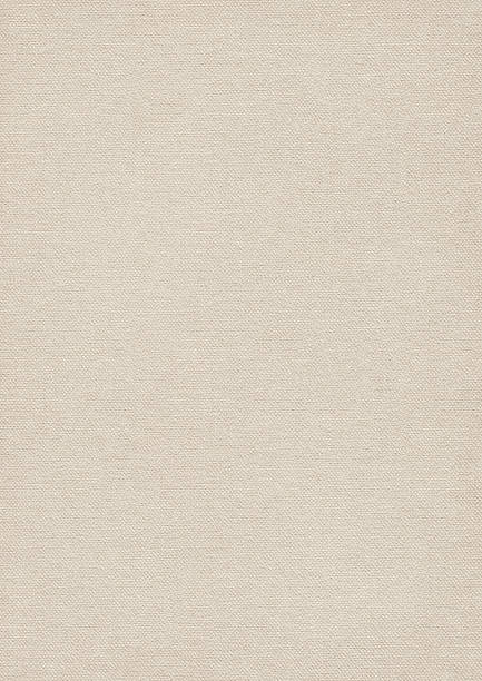 istock Artist Primed Cotton Duck Canvas Coarse Grunge Texture 469323414