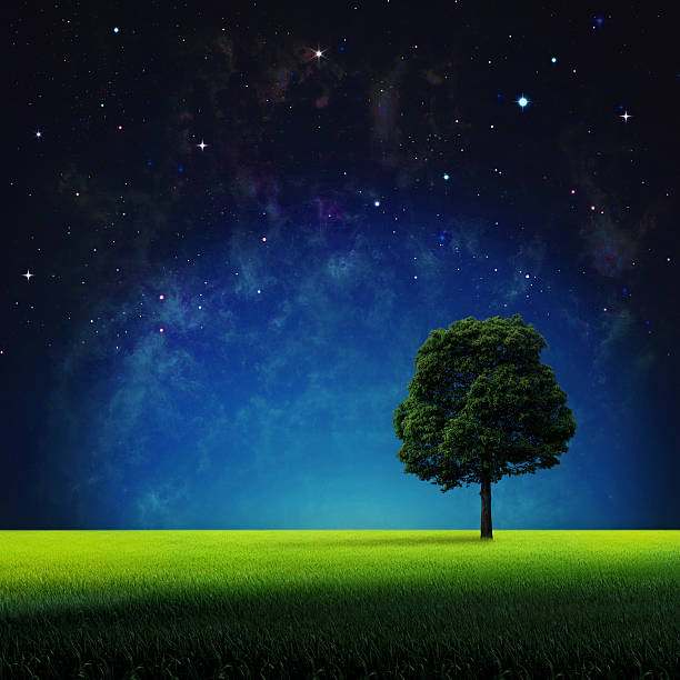istock Starry night. Abstract natural backgrounds for your design. NASA 469326742