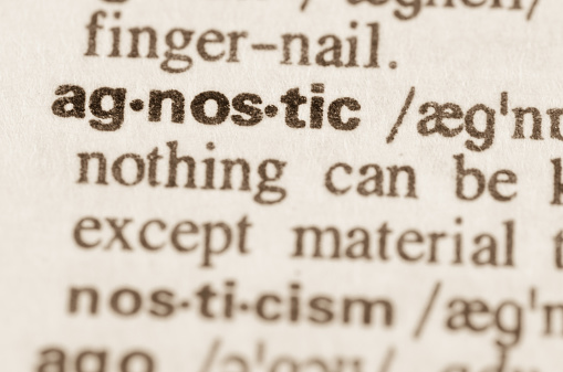 Diccionario de la definición de la palabra agnostic photo