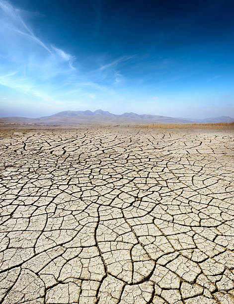 istock Cracks in the desert 469327388