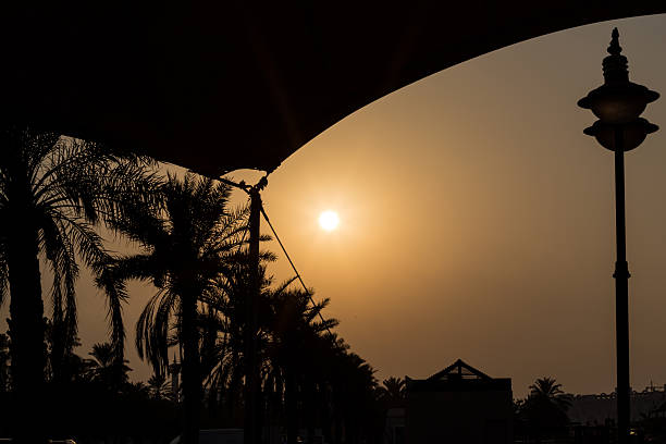 Beauty of sunset..part of palm tree and sea