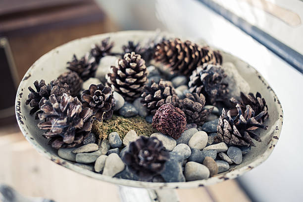 Metal dish containing various assorted objects from the nearby woods: such as acorns, pebbles and grass.