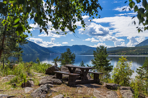 A quiet tranquil spot to have a picnic; under the cover of trees, with a fabulous view of one of Norway's innumerable Fjords and mountains.