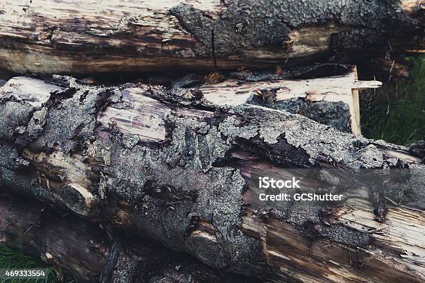 Stack Of Logs A Close Up Stock Photo - Download Image Now - Lumber Industry, Norway, 2015