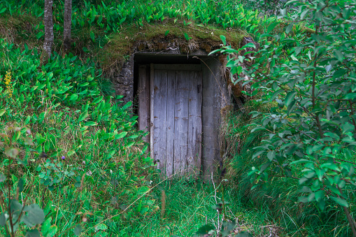 A hidden alcove in the midst of dense foliage, easily missed in its enveloping Forest.