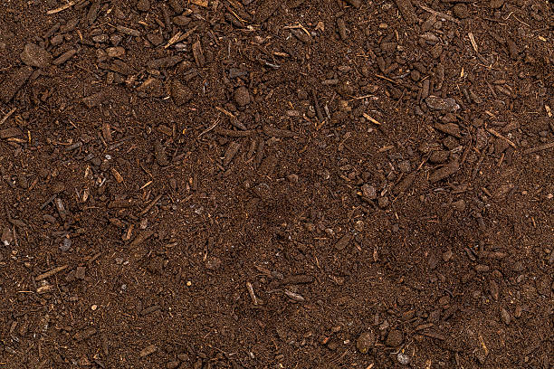 istock organic garden soil 469337642
