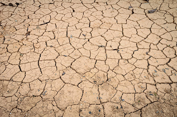 istock Cracked ground backgroun, dry land 469337742