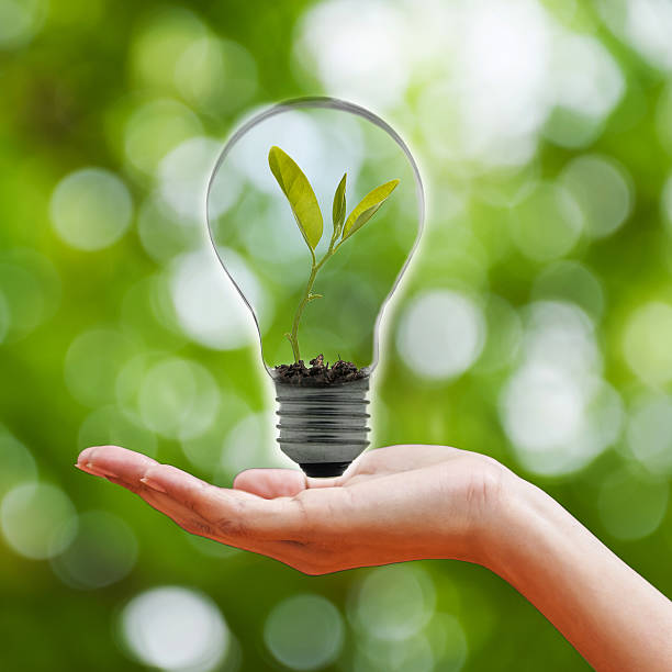 istock hand holding a light bulb on green bokeh background 469338532