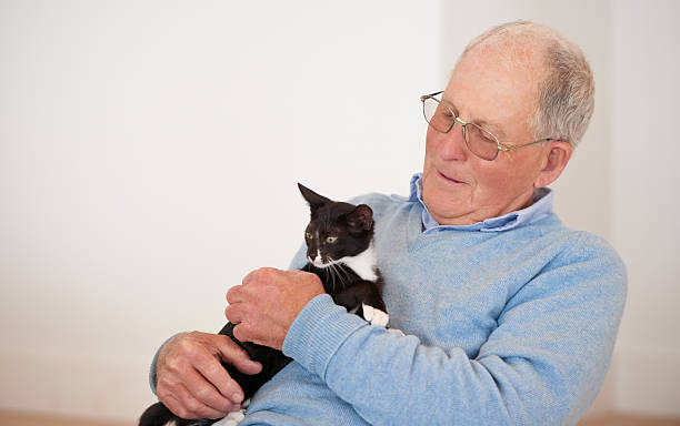 istock It's not a home without fur-kids 469339142
