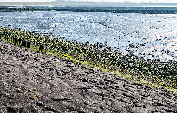 istock Colorful view at a Dutch breakwater in an estuary 469341420