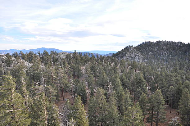 istock View from Palm Springs Aerial Tramway in California 469343986