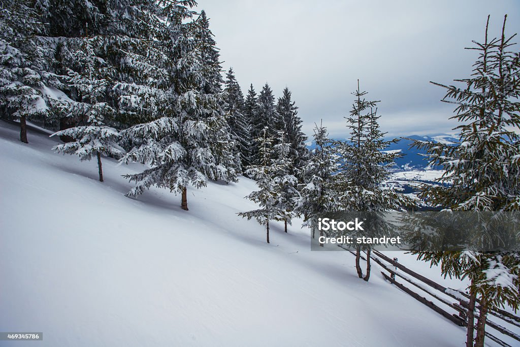 winter landscape Beautiful winter landscape in the Carpathian mountains 2015 Stock Photo