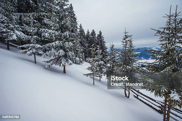 Winter Landscape Stock Photo - Download Image Now - 2015, Backgrounds, Blizzard